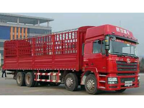 F3000 8×4 Cargo Truck